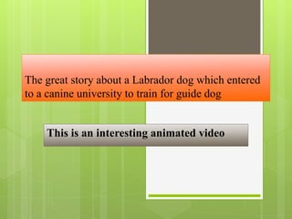 The great story about a Labrador dog which entered
to a canine university to train for guide dog
This is an interesting animated video
 