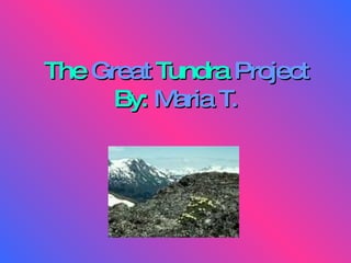 The   Great   Tundra  Project By:   Maria T. 