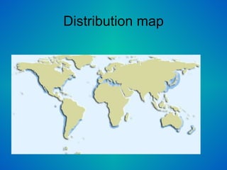 Distribution map 
