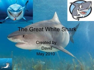 The Great White Shark Created by David May 2010  