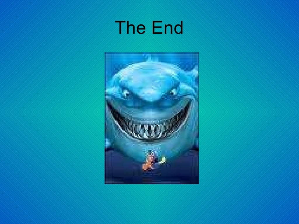 The Great White Shark