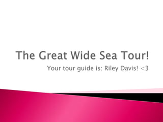 The Great Wide Sea Tour!  Your tour guide is: Riley Davis! <3 