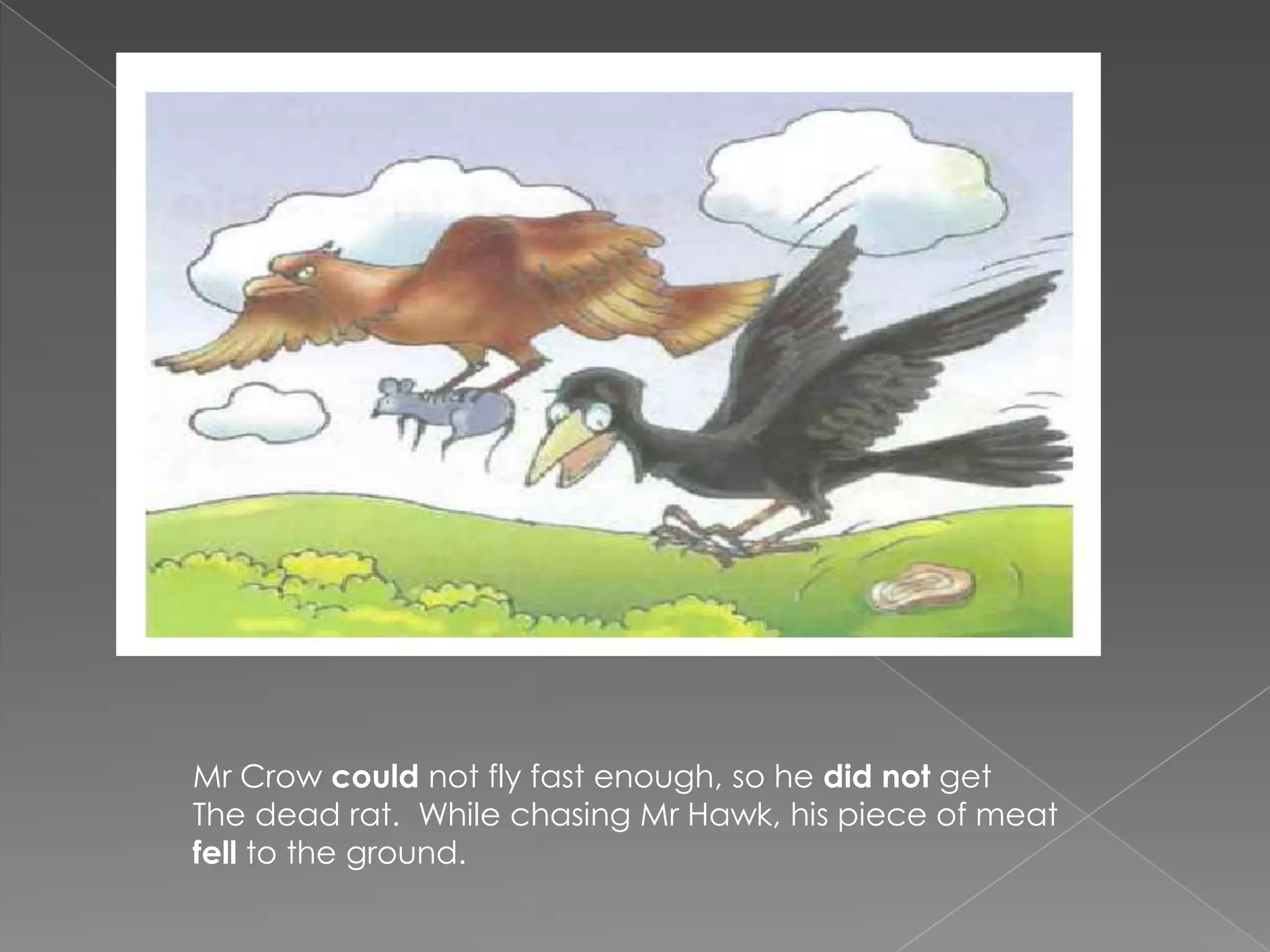 Mr Crow could not fly fast enough, so he did not get
The dead rat. While chasing Mr Hawk, his piece of meat
fell to the ground.
 