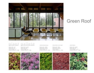 Green Roof
 