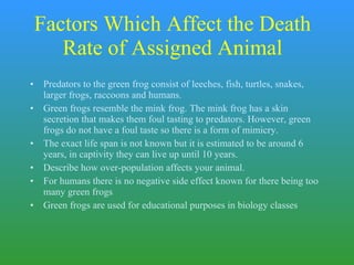 Factors Which Affect the Death Rate of Assigned Animal Predators to the green frog consist of leeches, fish, turtles, snakes, larger frogs, raccoons and humans.  Green frogs resemble the mink frog. The mink frog has a skin secretion that makes them foul tasting to predators. However, green frogs do not have a foul taste so there is a form of mimicry.  The exact life span is not known but it is estimated to be around 6 years, in captivity they can live up until 10 years. Describe how over-population affects your animal. For humans there is no negative side effect known for there being too many green frogs Green frogs are used for educational purposes in biology classes 
