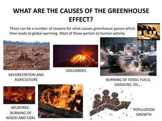 The greenhouse effect | PPTX