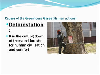 Causes of the Greenhouse Gases (Human actions) Deforestation:  It is the cutting down of trees and forests for human civilization and comfort  
