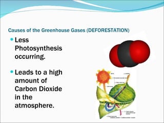 Causes of the Greenhouse Gases (DEFORESTATION) Less Photosynthesis occurring. Leads to a high amount of Carbon Dioxide in the atmosphere. 