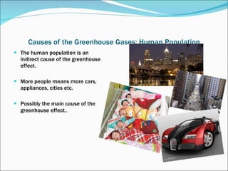 Causes of the Greenhouse Gases: Human Population The human population is an indirect cause of the greenhouse effect.  More people means more cars, appliances, cities etc. Possibly the main cause of the greenhouse effect. . 