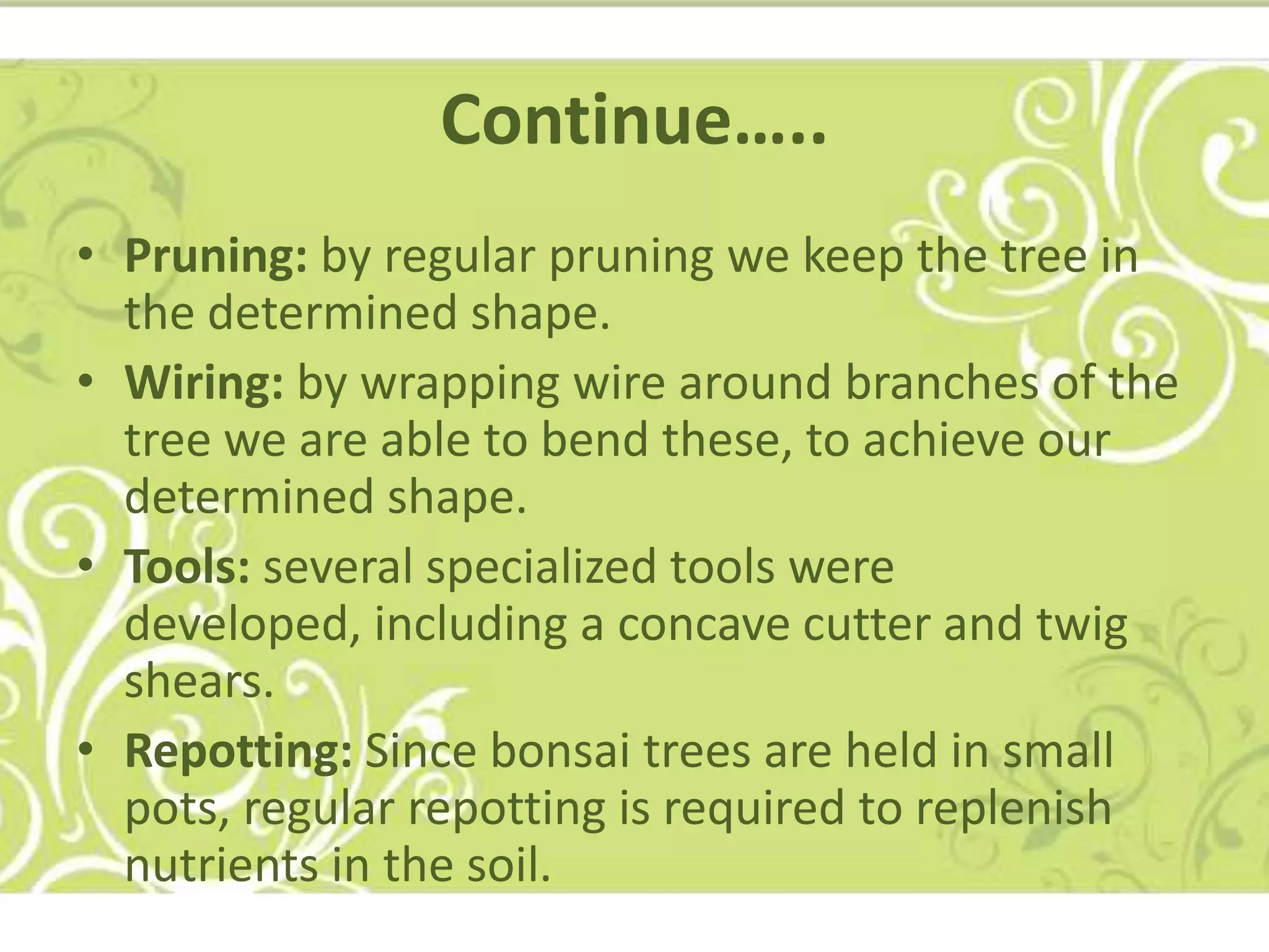 The green journey of bonsai trees | PPTX
