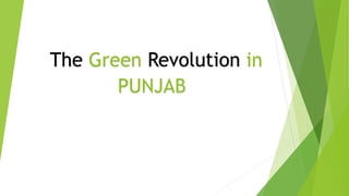 The Green Revolution in
PUNJAB
 