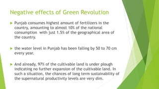 The green revolution in Punjab | PPTX