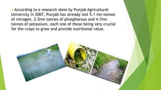 The green revolution in Punjab | PPTX