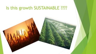 The green revolution in Punjab | PPTX
