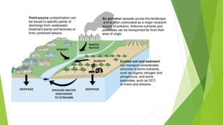 The green revolution in Punjab | PPTX