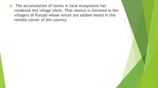 The green revolution in Punjab | PPTX