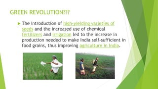 The green revolution in Punjab | PPTX