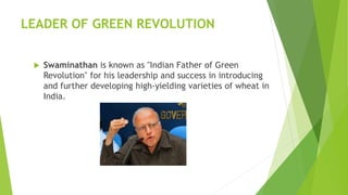 The green revolution in Punjab | PPTX