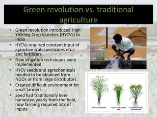 The Green Revolution In India
