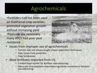 The Green Revolution In India