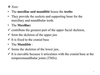 The gross anatomy of the head and neck lecture 3 | PPTX