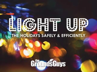 Light Up Your Holidays Safely and Efficiently