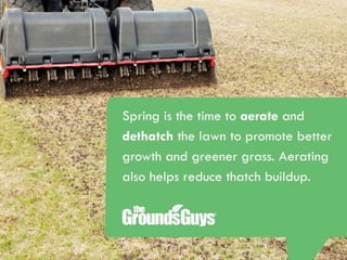 Creating a Beautiful Spring Lawn | Tips from The Grounds Guys®