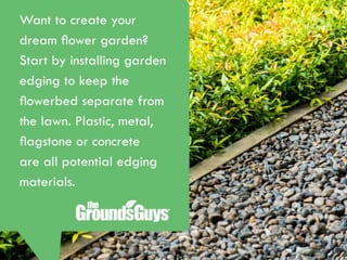 Creating a Beautiful Spring Lawn | Tips from The Grounds Guys®