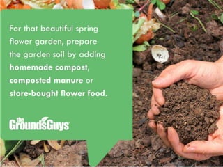 Creating a Beautiful Spring Lawn | Tips from The Grounds Guys®