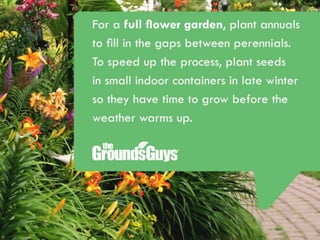 Creating a Beautiful Spring Lawn | Tips from The Grounds Guys®