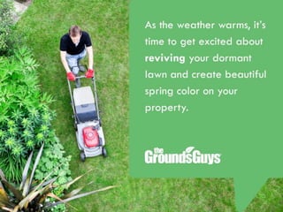 Creating a Beautiful Spring Lawn | Tips from The Grounds Guys®