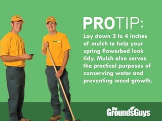 Creating a Beautiful Spring Lawn | Tips from The Grounds Guys®