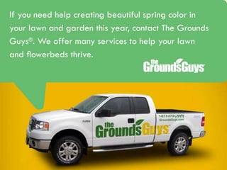 Creating a Beautiful Spring Lawn | Tips from The Grounds Guys®