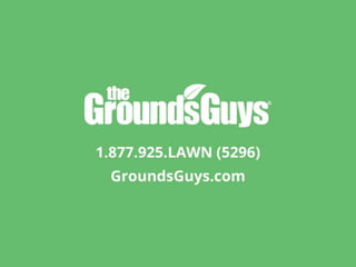 Creating a Beautiful Spring Lawn | Tips from The Grounds Guys®