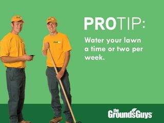 Creating a Beautiful Spring Lawn | Tips from The Grounds Guys®