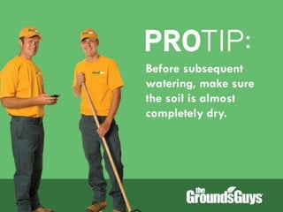 Creating a Beautiful Spring Lawn | Tips from The Grounds Guys®