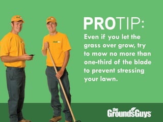 Creating a Beautiful Spring Lawn | Tips from The Grounds Guys®