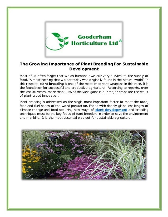 The growing importance of plant breeding for sustainable
