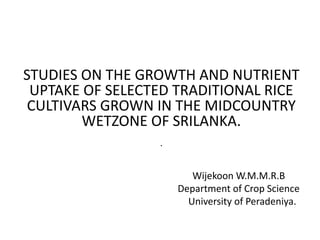 STUDIES ON THE GROWTH AND NUTRIENT
UPTAKE OF SELECTED TRADITIONAL RICE
CULTIVARS GROWN IN THE MIDCOUNTRY
WETZONE OF SRILANKA.
.
Wijekoon W.M.M.R.B
Department of Crop Science
University of Peradeniya.
 