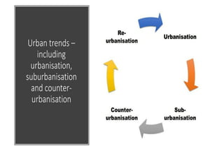 The Growth Of Megacities | PDF