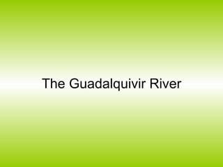 The Guadalquivir River 