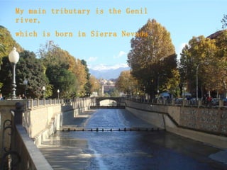 My main tributary is the Genil river,  which is born in Sierra Nevada 