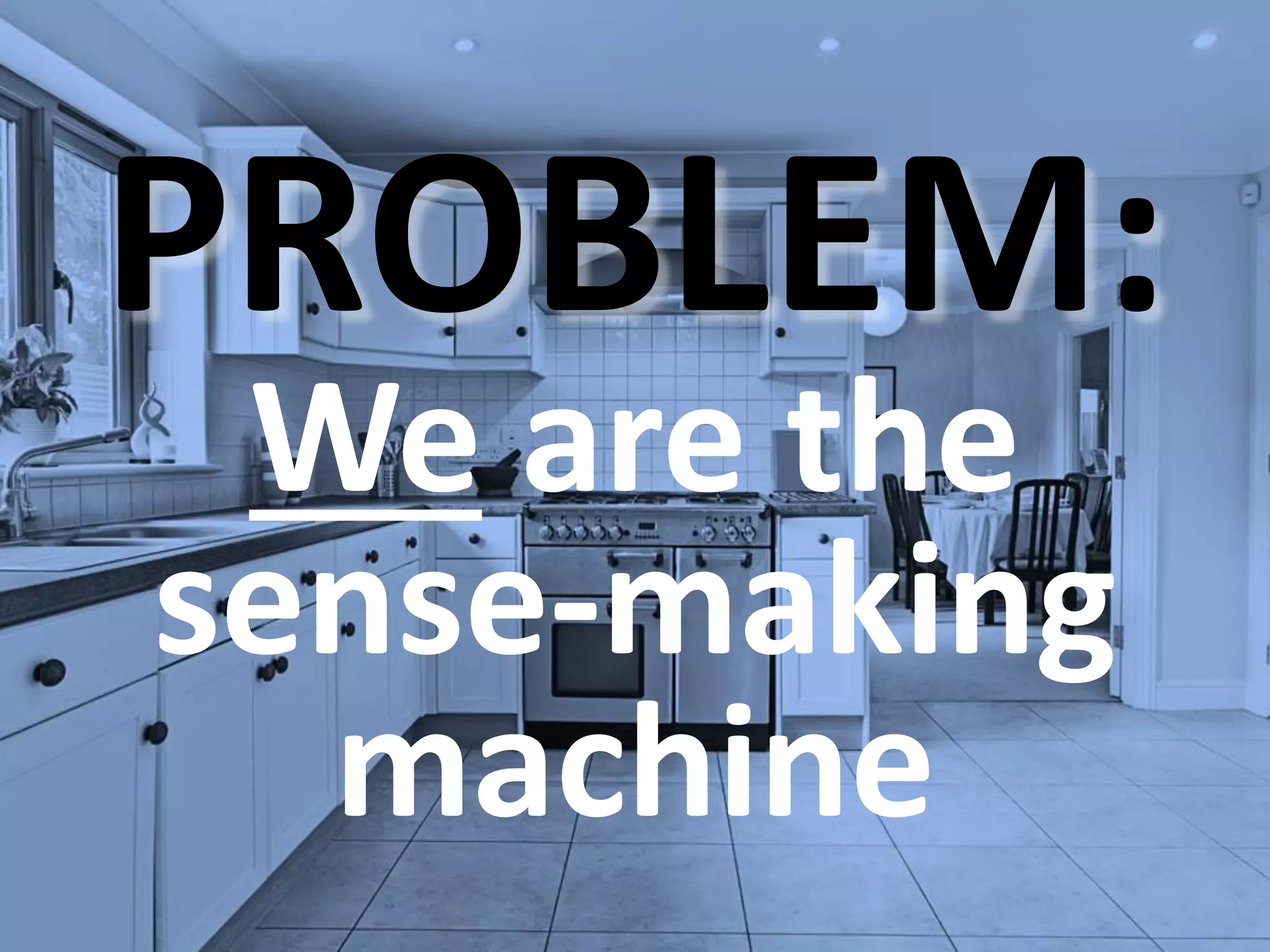 PROBLEM:
We are the
sense-making
machine
 