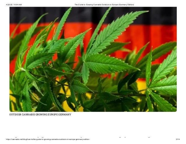 4/23/22, 10:04 AM The Guide to Growing Cannabis Outdoors in Europe (Germany Edition)
https://cannabis.net/blog/how-to/the-guide-to-growing-cannabis-outdoors-in-europe-germany-edition 2/14
OUTDOOR CANNABIS GROWING EUROPE GERMANY
h id i bi d
 