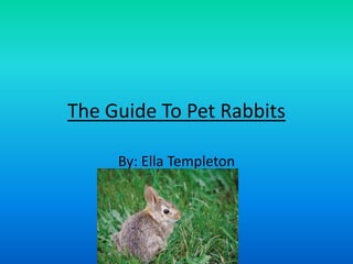 The Guide To Pet Rabbits
By: Ella Templeton
 
