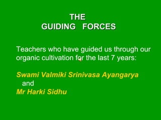 Teachers who have guided us through our organic cultivation for the last 7 years: Swami Valmiki Srinivasa Ayangarya and Mr Harki Sidhu THE  GUIDING  FORCES 
