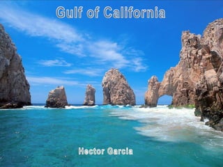 THE GULF OF CALIFORNIA
 