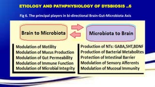 The gut microbial dysbiosis its fallouts and therapeutic potential of ...