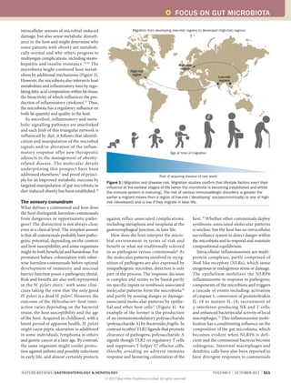 FOCUS ON GUT MICROBIOTA

intracellular sensors of microbial-induced                           Migration from developing (low-risk) regions to developed (high-risk) regions
damage, but also sense metabolic disturb­
ance in the host and might determine why
some patients with obesity are metaboli-
cally normal and why others progress to
multi­ rgan complications, including steato­
      o
hepatitis and insulin resistance. 15,16 The                                                           High-risk
microbiota might confound host metab­                               High-risk
                                                                                                       region
olism by additional mechanisms (Figure 3).                           region
                                                                                                                                 Low-risk
However, the microbiota also intersects host                                                                                     regions
metabolism and inflammatory tone by regu-
lating fatty-acid composition within fat tissue,
the bioactivity of which influences the pro-
duction of inflammatory cytokines.17 Thus,
the microbiota has a regulatory influence on
both fat quantity and quality in the host.
   As microbial, inflammatory and meta-
bolic signalling pathways are interlinked
and each limb of this triangular network is
influenced by diet, it follows that identifi-
cation and manipulation of the microbial
signals and/or alteration of the inflam-
matory response offer new therapeutic                                                           Age at time of migration
adjuncts to the management of obesity-
related disease. The molecular details
underpinning this prospect have been
addressed elsewhere,8 and proof of princi-                                              Risk of acquiring disease of new world
ple for an improved metabolic outcome by
                                                   Figure 1 | Migration and disease risk. Migration studies confirm that lifestyle factors exert their
targeted manipulation of gut microbiota in         influence at the earliest stages of life (when the microbiota is becoming established and whilst
diet-induced obesity has been established.18       the immune system is maturing). The risk of various immunoallergic disorders is greater the
                                                   earlier a migrant moves from a region of low-risk (‘developing’ socioeconomically) to one of high-
The sensory conundrum                              risk (developed) and is low if they migrate in later life.
What defines a commensal and how does
the host distinguish harmless commensals
from dangerous or opportunistic patho-             against reflux-associated complications,                       host.19 Whether other commensals deploy
gens? The distinction is not always clear,         including metaplasia and neoplasia at the                      symbiosis-associated molecular patterns
even at a clinical level. The simplest answer      gastro­ sophageal junction, in later life.
                                                          e                                                       is unclear, but the host has an intracellular
is that all commensals probably have patho-           How does the host interpret the micro-                      surveillance system to detect danger within
genic potential, depending on the context          bial environment in terms of risk and                          the microbiota and to respond and maintain
and host susceptibility, and some organisms        benefit or what are traditionally referred                     compositional equilibrium.
might be both beneficial and hazardous. For        to as pathogens versus commensals? As                             Intracellular inflammasomes are multi­
premature babies, colonization with other-         the molecular patterns involved in recog-                      protein complexes, partly comprised of
wise harmless commensals before optimal            nition of pathogens are also expressed by                      Nod-like receptors (NLRs), which sense
development of immunity and mucosal                nonpathogenic microbes, detection is only                      exogenous or endogenous stress or damage.
barrier function poses a pathogenic threat.        part of the process. The response decision                     The epithelium mobilizes the NLRP6
Risk and benefit are also well represented         is complex and seems to be based partly                        inflammasome in response to pathogenic
in the H. pylori story, 3 with some clini-         on specific inputs or symbiosis-associated                     components of the microbiota and triggers
cians taking the view that ‘the only good          molecular patterns from the microbiota 19                      a cascade of events including: activation
H. pylori is a dead H. pylori’. However, the       and partly by sensing danger or damage-                        of caspase 1; conversion of pro­ nterleukin
                                                                                                                                                   i
outcome of the Helicobacter–host inter-            associated molecular patterns by epithe-                       IL‑18 to mature IL‑18; recruitment of
action varies depending on the bacterial           lial and other host cells 13 (Figure 4). An                    γ‑interferon-producing NK and T cells;
strain, the host susceptibility and the age        example of the former is the production                        and enhanced bacteriocidal activity of local
of the host. Acquired in childhood, with a         of an immunomodulatory polysaccharide                          macrophages.13 This inflammasome mobi-
latent period of apparent health, H. pylori        (polysaccharide A) by Bacteroides fragilis. In                 lization has a conditioning influence on the
might cause peptic ulceration in adulthood         contrast to other TLR2 ligands that promote                    composition of the gut microbiota, which
in some individuals, lymphoma in others            clearance of pathogens, poly­ accharide A
                                                                                  s                               becomes evident when NLRP6 is defi-
and gastric cancer at a later age. By contrast,    signals though TLR2 on regulatory T cells                      cient and the commensal bacteria become
the same organism might confer protec-             and suppresses T‑helper 17 effector cells,                     colito­ enic. Intestinal macrophages and
                                                                                                                         g
tion against asthma and possibly infections        thereby avoiding an adverse immune                             dendritic cells have also been reported to
in early life, and almost certainly protects       response and favouring colonization of the                     have divergent responses to commensals


NATURE REVIEWS | GASTROENTEROLOGY  HEPATOLOGY 	                                                                             VOLUME 9  |  OCTOBER 2012  |  611
                                                   © 2012 Macmillan Publishers Limited. All rights reserved
 
