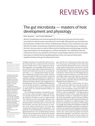REVIEWS
                                    The gut microbiota — masters of host
                                    development and physiology
                                    Felix Sommer1,2 and Fredrik Bäckhed1,2,3
                                    Abstract | Establishing and maintaining beneficial interactions between the host and its
                                    associated microbiota are key requirements for host health. Although the gut microbiota has
                                    previously been studied in the context of inflammatory diseases, it has recently become clear
                                    that this microbial community has a beneficial role during normal homeostasis, modulating
                                    the host’s immune system as well as influencing host development and physiology, including
                                    organ development and morphogenesis, and host metabolism. The underlying molecular
                                    mechanisms of host–microorganism interactions remain largely unknown, but recent studies
                                    have begun to identify the key signalling pathways of the cross-species homeostatic
                                    regulation between the gut microbiota and its host.

Microbiota                         All higher animals are associated with a diverse micro-             gram, the ileum 107 cells per gram and the colon up to
The sum of all microorganisms      bial community that is composed mainly of bacteria                  1012 cells per gram) and along the tissue–lumen axis
(including bacteria, archaea,      but also includes archea, viruses, fungi and protozoa.              (with few bacteria adhering to the tissue or mucus but
eukaryotes and viruses) that       Microorganisms cover essentially all host mucosal sur-              a large number being present in the lumen)4. Second,
reside in and/or on a host or
a specified part of a host (such
                                   faces, but most reside within the gastrointestinal tract.           bacterial diversity increases in the same axes and manner
as the gastrointestinal tract).    Studies had traditionally focused on examining the                  as microbial density 4. Many bacterial species are present
                                   role of the microbiota during human disease, for exam-              in the lumen, whereas fewer, but well-adapted species,
1
 Wallenberg Laboratory             ple in inflammatory diseases such as colitis. However,              including several proteobacteria and Akkermansia
for Cardiovascular and             in the past decade, the field of microbiota research has            muciniphila, adhere and reside within the mucus layer
Metabolic Research,                exploded, resulting in the publication of a plethora of             close to the tissue5,6. Colonization of the host begins dur-
Sahlgrenska University             reports that describe both the individual members of our            ing birth, and the composition of the microbiota changes
Hospital, Department of
Molecular and Clinical
                                   intestinal microbiota and their wide-ranging impact on              throughout host development (BOX 1).
Medicine, University               host physiology. Thus, the traditional anthropocentric                  In the adult intestine, a total of about 10 14 bacte-
of Gothenburg.                     view of the gut microbiota as pathogenic and solely                 rial cells are present, which is ten times the number of
2
 Sahlgrenska Center for            an immunological threat has been substituted with                   human cells in the body 7. Their combined genomes
Cardiovascular and Metabolic
                                   an appreciation of its mainly beneficial influence on               (known as the microbiome) contain more than 5 mil-
Research, Department of
Molecular and Clinical             human health.                                                       lion genes, thus outnumbering the host’s genetic poten-
Medicine, University of                The ‘normal’ gut microbiota is dominated by anaer-              tial by two orders of magnitude2,8. This large arsenal of
Gothenburg, SE‑413 45              obic bacteria, which outnumber aerobic and faculta-                 gene products provides a diverse range of biochemical
Gothenburg, Sweden.                tive anaerobic bacteria by 100- to 1,000‑fold1. In total,           and metabolic activities to complement host physiol-
3
 Novo Nordisk Foundation
Center for Basic Metabolic
                                   the intestinal microbiota consists of approximately                 ogy. In fact, the metabolic capacity of the gut microbiota
Research, Section for              500–1,000 species that, interestingly, belong to only               equals that of the liver, and the intestinal microbiota can
Metabolic Receptology and          a few of the known bacterial phyla2,3. By far the most              therefore be considered as an additional organ9. These
Enteroendocrinology,               abundant phyla in the human gut are Firmicutes and                  bacteria are essential for several aspects of host biology.
Faculty of Health Sciences,
                                   Bacteriodetes, but other species present are mem-                   For example, they facilitate the metabolism of otherwise
University of Copenhagen,
Copenhagen DK‑2200,                bers of the phyla Proteobacteria, Verrumicrobia,                    indigestible polysaccharides and produce essential vita-
Denmark.                           Actinobacteria, Fusobacteria and Cyanobacteria2,3. Two              mins; they are required for the development and differ­
Correspondence to F.B.             gradients of microbial distribution can be found in the             entiation of the host’s intestinal epithelium and immune
e‑mail:                            gastrointestinal tract. First, microbial density increases          system; they confer protection against invasion by
Fredrik.Backhed@wlab.gu.se
doi:10.1038/nrmicro2974
                                   both from the proximal to the distal gut (the stomach               opportunistic pathogens10; and they have a key role in
Published online                   contains 101 microbial cells per gram of content, the               maintaining tissue homeostasis. Recent studies have
25 February 2013                   duodenum 103 cells per gram, the jejunum 104 cells per              also revealed that the human microbiota influences


NATURE REVIEWS | MICROBIOLOGY	                                                                                                     VOLUME 11 | APRIL 2013 | 227

                                                        © 2013 Macmillan Publishers Limited. All rights reserved
 